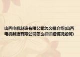 山西電機制造有限公司怎么樣介紹(山西電機制造有限公司怎么樣詳細情況如何)