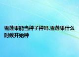 雪蓮果能當(dāng)種子種嗎,雪蓮果什么時(shí)候開(kāi)始種