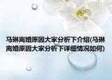 馬琳離婚原因大家分析下介紹(馬琳離婚原因大家分析下詳細情況如何)