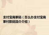 支付寶商家碼（怎么辦支付寶商家付款碼簡(jiǎn)介介紹）