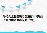 烏龜殼上有白斑怎么治療（烏龜殼上有白斑怎么治簡介介紹）