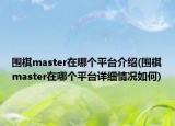 圍棋master在哪個(gè)平臺(tái)介紹(圍棋master在哪個(gè)平臺(tái)詳細(xì)情況如何)