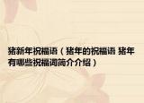 豬新年祝福語（豬年的祝福語 豬年有哪些祝福詞簡介介紹）