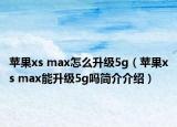蘋(píng)果xs max怎么升級(jí)5g（蘋(píng)果xs max能升級(jí)5g嗎簡(jiǎn)介介紹）