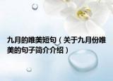 九月的唯美短句（關(guān)于九月份唯美的句子簡(jiǎn)介介紹）