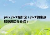 pick pick是什么（pick的來源和意思簡(jiǎn)介介紹）