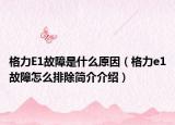 格力E1故障是什么原因（格力e1故障怎么排除簡介介紹）