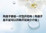 風(fēng)信子都是一次性開花嗎（風(fēng)信子是不是可以開兩次花簡介介紹）