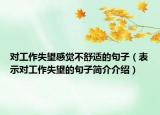 對工作失望感覺不舒適的句子（表示對工作失望的句子簡介介紹）