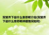 雙管齊下是什么意思呢介紹(雙管齊下是什么意思呢詳細(xì)情況如何)