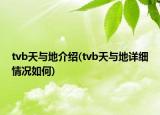tvb天與地介紹(tvb天與地詳細(xì)情況如何)