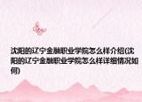 沈陽的遼寧金融職業(yè)學(xué)院怎么樣介紹(沈陽的遼寧金融職業(yè)學(xué)院怎么樣詳細(xì)情況如何)