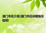 澳門市花介紹(澳門市花詳細情況如何)