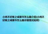 小雞不好惹之咸蛋寺怎么畫介紹(小雞不好惹之咸蛋寺怎么畫詳細(xì)情況如何)
