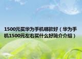 1500元買華為手機(jī)哪款好（華為手機(jī)1500元左右買什么好簡介介紹）