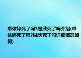 卓依婷死了嗎?易欣死了嗎介紹(卓依婷死了嗎?易欣死了嗎詳細(xì)情況如何)