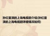 孫紅雷演的上海電視劇介紹(孫紅雷演的上海電視劇詳細情況如何)