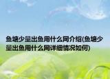魚塘少量出魚用什么網(wǎng)介紹(魚塘少量出魚用什么網(wǎng)詳細(xì)情況如何)