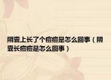 陰囊上長了個痘痘是怎么回事（陰囊長痘痘是怎么回事）