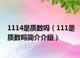 1114是質(zhì)數(shù)嗎（111是質(zhì)數(shù)嗎簡介介紹）