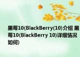 黑莓10(BlackBerry(10)介紹 黑莓10(BlackBerry 10)詳細(xì)情況如何)