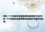 尋找一個大陸團伙偷渡香港搶劫的電影介紹(尋找一個大陸團伙偷渡香港搶劫的電影詳細情況如何)