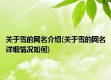 關(guān)于雪的網(wǎng)名介紹(關(guān)于雪的網(wǎng)名詳細(xì)情況如何)