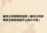 破壞公共財物罪量刑（破壞公共財物罪立案標(biāo)準(zhǔn)是什么簡介介紹）