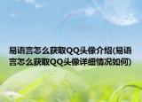 易語言怎么獲取QQ頭像介紹(易語言怎么獲取QQ頭像詳細(xì)情況如何)