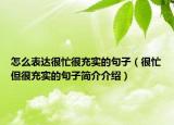 怎么表達很忙很充實的句子（很忙但很充實的句子簡介介紹）