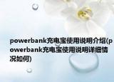 powerbank充電寶使用說明介紹(powerbank充電寶使用說明詳細(xì)情況如何)