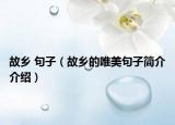 故鄉(xiāng) 句子（故鄉(xiāng)的唯美句子簡(jiǎn)介介紹）