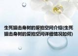 生死狙擊身樹的愛拍空間介紹(生死狙擊身樹的愛拍空間詳細(xì)情況如何)