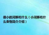 很小的河豚吃什么（小河豚吃什么食物簡介介紹）