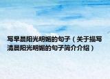 寫(xiě)早晨陽(yáng)光明媚的句子（關(guān)于描寫(xiě)清晨陽(yáng)光明媚的句子簡(jiǎn)介介紹）