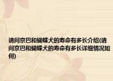 請問京巴和蝴蝶犬的壽命有多長介紹(請問京巴和蝴蝶犬的壽命有多長詳細(xì)情況如何)