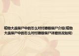植物大戰(zhàn)僵尸中的怎么對付蹦極僵尸介紹(植物大戰(zhàn)僵尸中的怎么對付蹦極僵尸詳細情況如何)