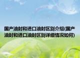 國產(chǎn)油封和進(jìn)口油封區(qū)別介紹(國產(chǎn)油封和進(jìn)口油封區(qū)別詳細(xì)情況如何)