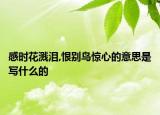 感時(shí)花濺淚,恨別鳥驚心的意思是寫什么的