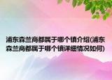 浦東森蘭商都屬于哪個(gè)鎮(zhèn)介紹(浦東森蘭商都屬于哪個(gè)鎮(zhèn)詳細(xì)情況如何)