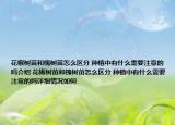 花椒樹苗和槐樹苗怎么區(qū)分 種植中有什么需要注意的嗎介紹 花椒樹苗和槐樹苗怎么區(qū)分 種植中有什么需要注意的嗎詳細(xì)情況如何