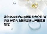 請問穿36的內衣胸圍是多大介紹(請問穿36的內衣胸圍是多大詳細情況如何)