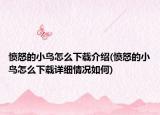 憤怒的小鳥怎么下載介紹(憤怒的小鳥怎么下載詳細(xì)情況如何)