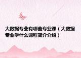 大數(shù)據(jù)專業(yè)有哪些專業(yè)課（大數(shù)據(jù)專業(yè)學(xué)什么課程簡(jiǎn)介介紹）