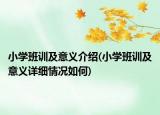 小學(xué)班訓(xùn)及意義介紹(小學(xué)班訓(xùn)及意義詳細(xì)情況如何)