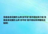 魯信含章花園怎么樣(好不好 值不值得買介紹 魯信含章花園怎么樣 好不好 值不值得買詳細(xì)情況如何)