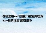 在哪里給exo投票介紹(在哪里給exo投票詳細情況如何)