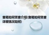 音箱如何煲音介紹(音箱如何煲音詳細(xì)情況如何)