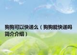 狗狗可以快遞么（狗狗能快遞嗎簡介介紹）