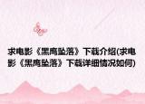 求電影《黑鷹墜落》下載介紹(求電影《黑鷹墜落》下載詳細情況如何)